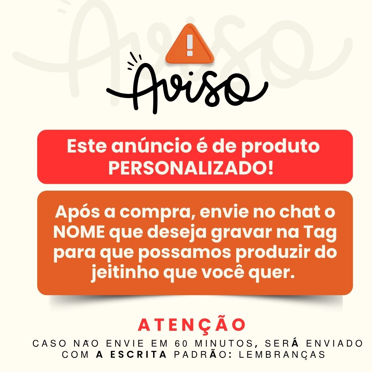 Estojo 15x21 Personalizado com Nome e Álbum Fotográfico 100 Fotos TAG Acrilico Prata - Imagem 2